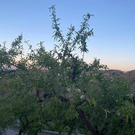Casa Limonero